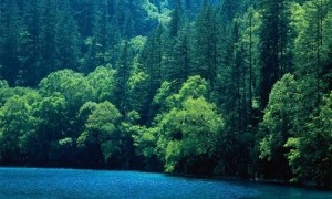 三个步骤解析灾备演练的管理方法及意义